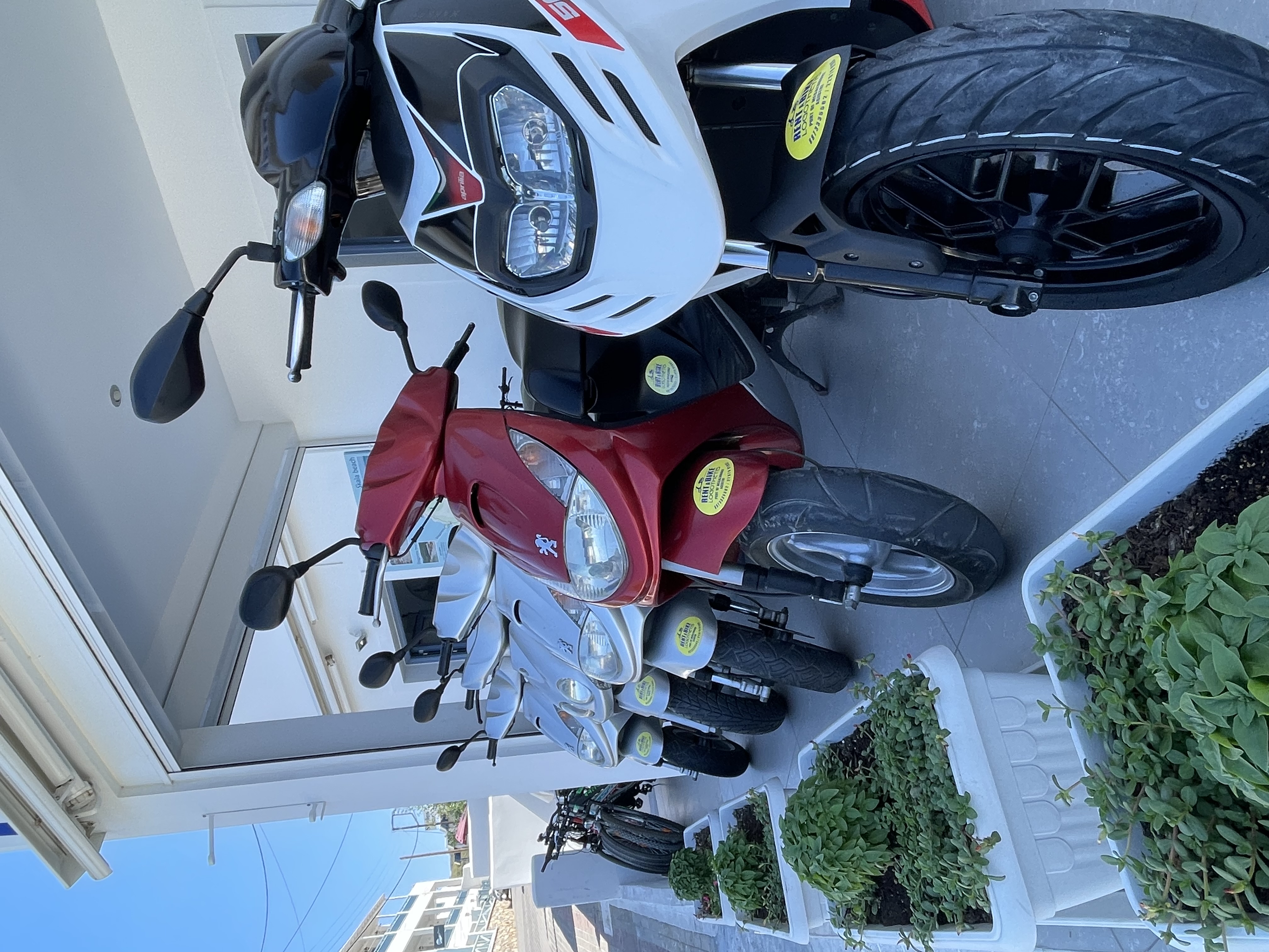 Some of our scooters