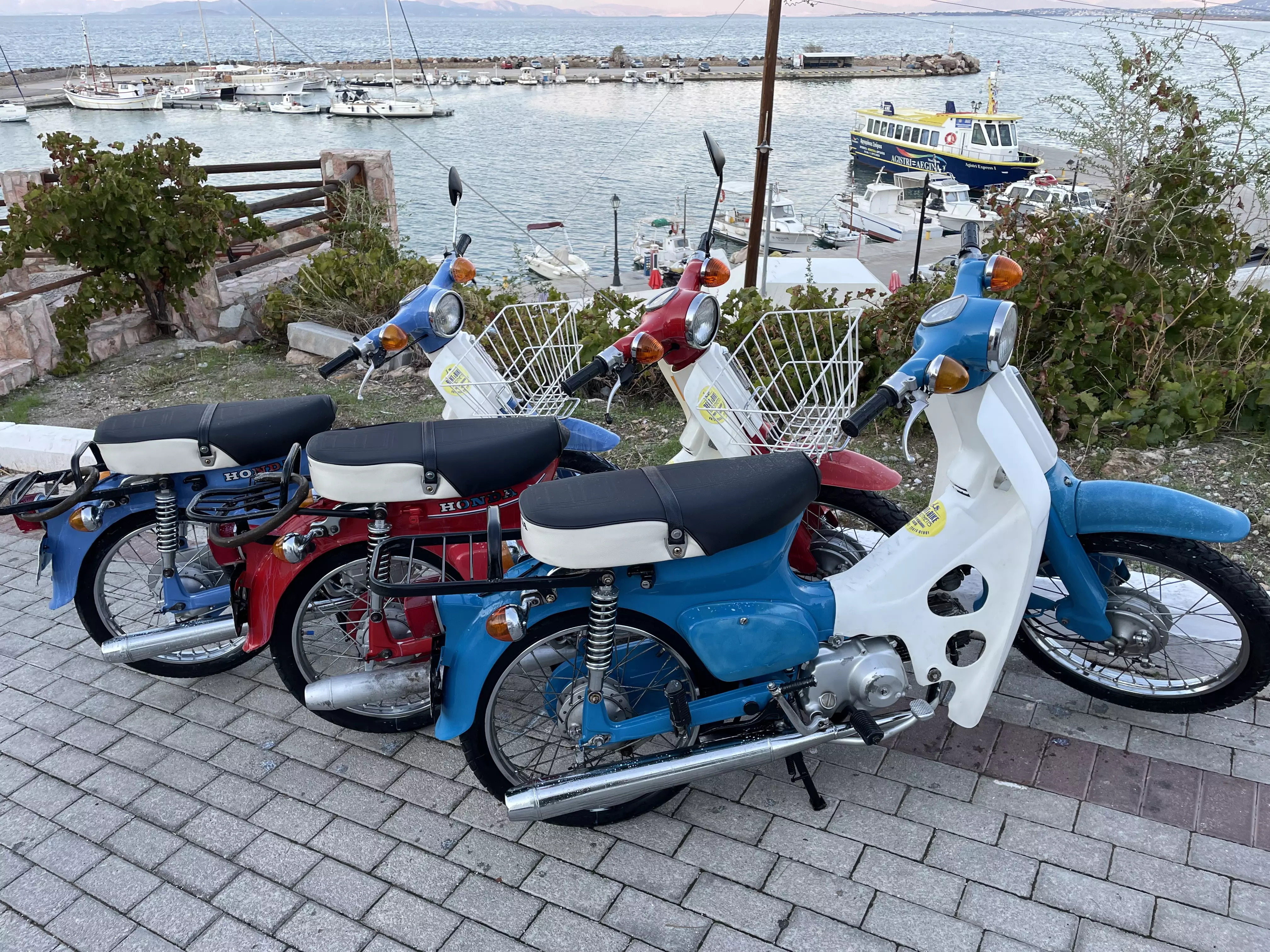 Some of our vintage mopeds